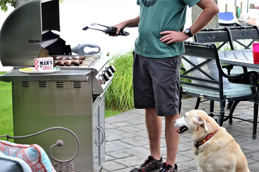 Grilling With Dogs on Memorial Day