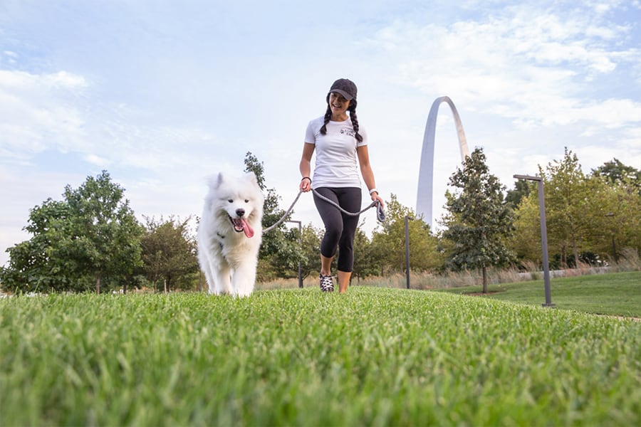 Hiking with your dog in St. Louis