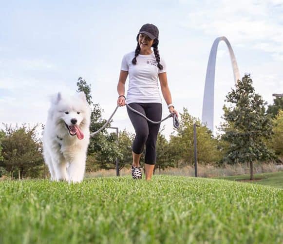 We are proud to have been serving St. Louis area pets and their families since 1997.​