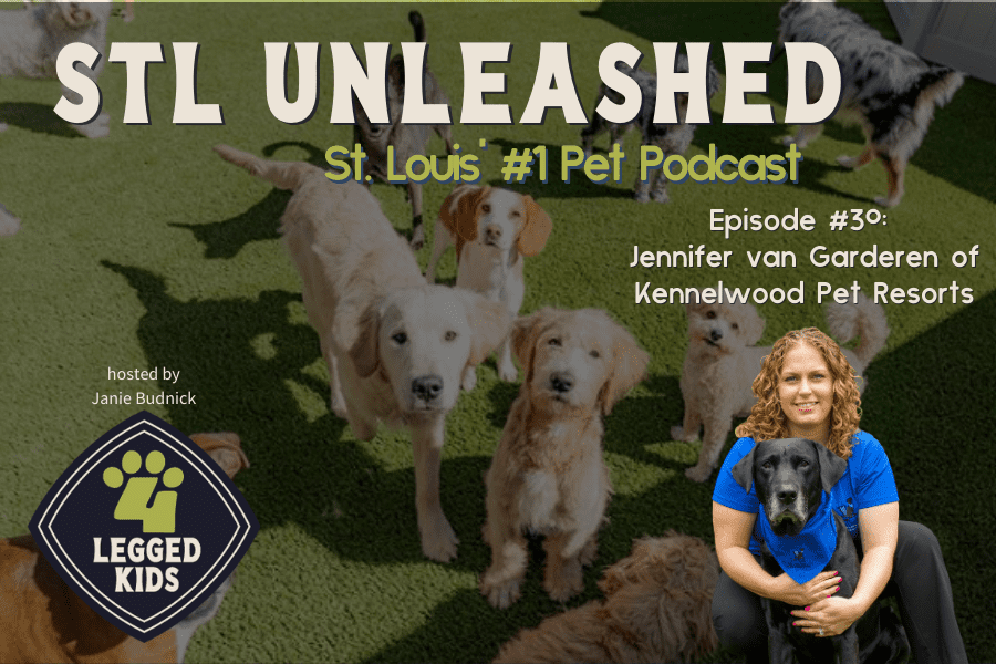 Kennelwood 4 Legged Kids