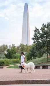 st. louis dog walker 4-legged kids, inc.