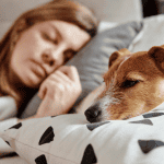 dog at sleepover st. louis 4-legged kids, inc