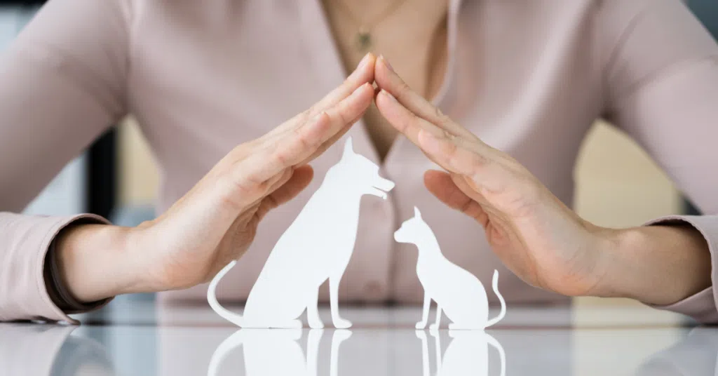 two hands over a dog and cat silhouette