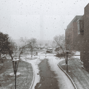 st. Louis, MO in the snow