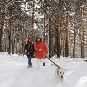 dog walking in St. Louis snow day