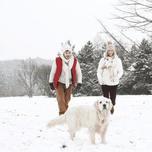 dog in snow with two women in St. Louis, MO