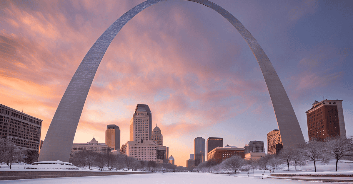 St. Louis, MO snow day How Cold Temperatures Affect St. Louis Pets