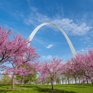 gateway arch park st louis dog friendly parks