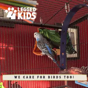 we care for birds too social media post by 4-Legged Kids, Inc.