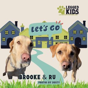 2 dogs walking social media post by 4-Legged Kids, Inc.