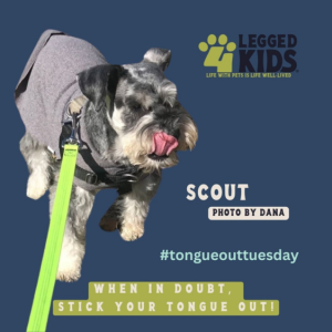 tongue out tuesday dog social media post by 4-Legged Kids, Inc.