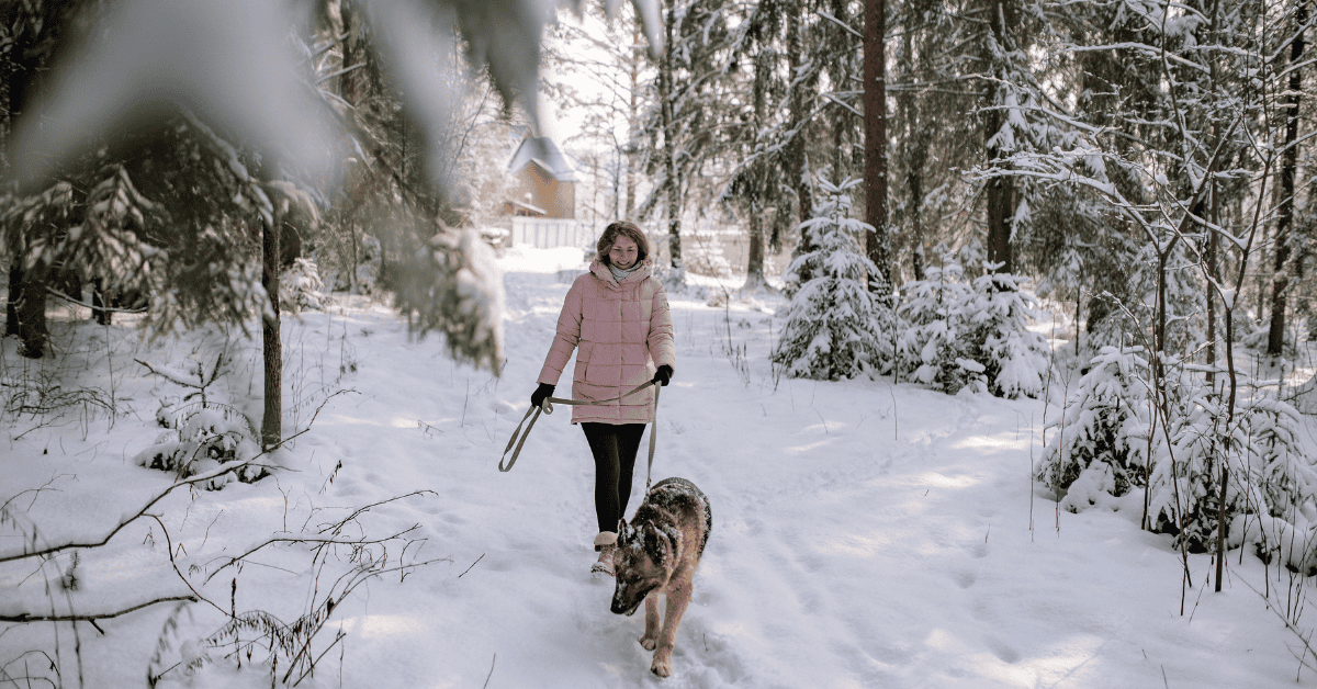 5 ways to keep ourselves and our pets active and health in the winter dog walker walking with dog in the snow