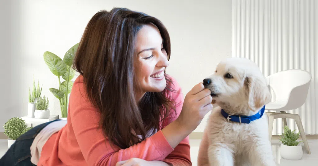 top 5 differences between puppies and adult dogs st. louis dog walker 4-Legged Kids with a puppy