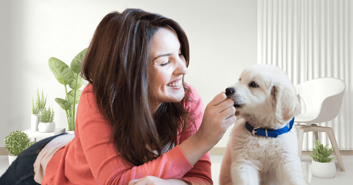 top 5 differences between puppies and adult dogs st. louis dog walker 4-Legged Kids with a puppy