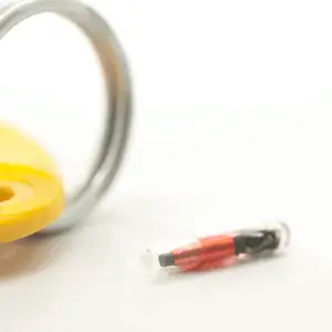 pet microchip next to keys to show small size