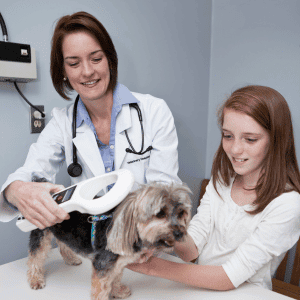 child holding dog while veterinarian scans for a microchip in st. Louis