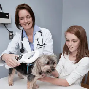 child holding dog while veterinarian scans for a microchip in st. Louis