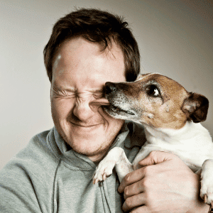 pet parent reunited with missing dog st. louis, mo