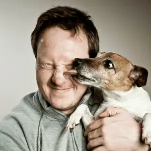 pet parent reunited with missing dog st. louis, mo