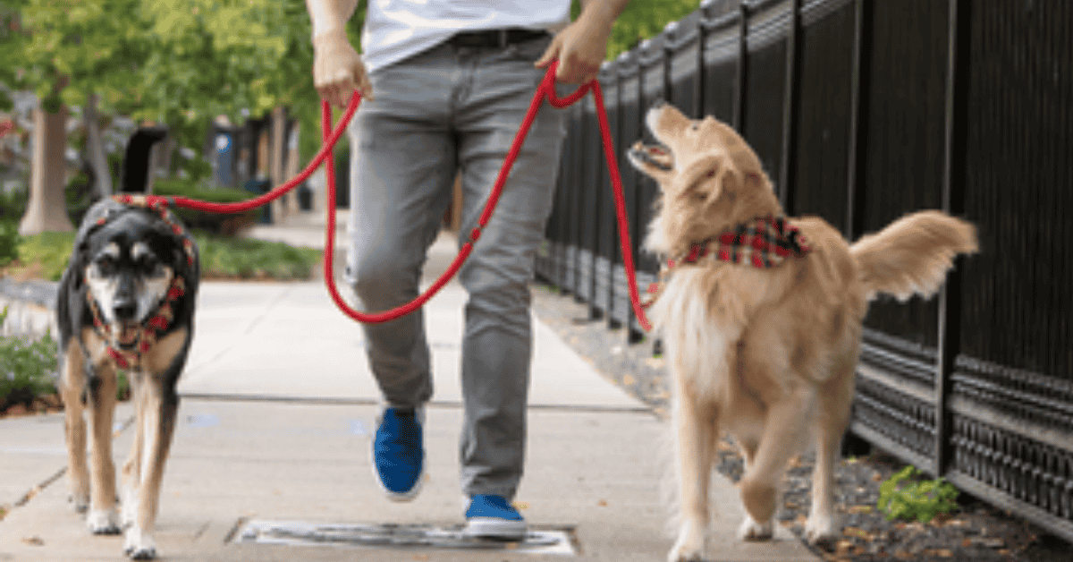 4-Legged Kids, Inc.'s 28 Years of Service to the St. Louis Community