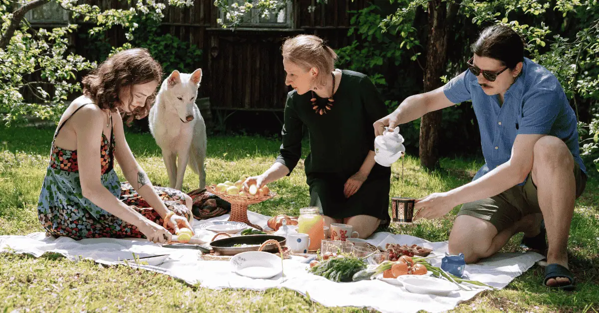 BBQ & Picnic Safety for Dog-Friendly Outings in St. Louis