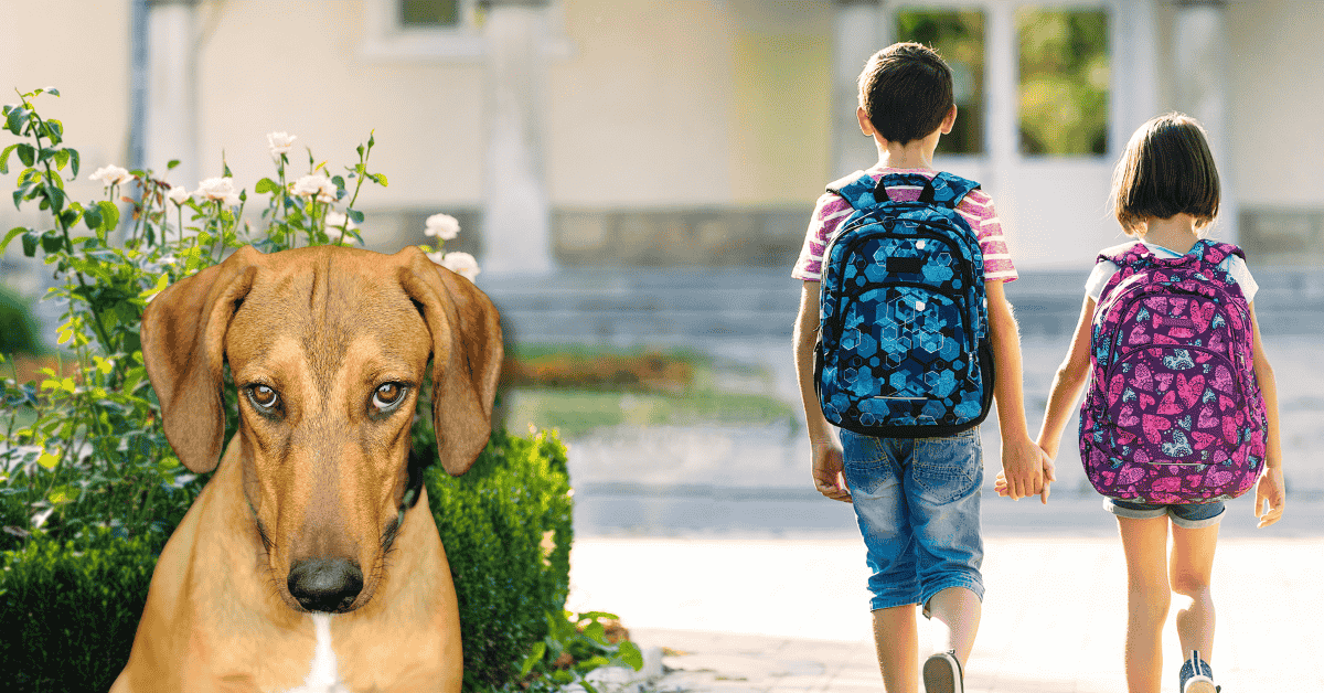 two children in St. Louis City walking to school on the first day, leaving their dog behind